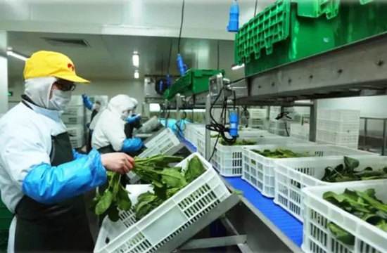 食品厂